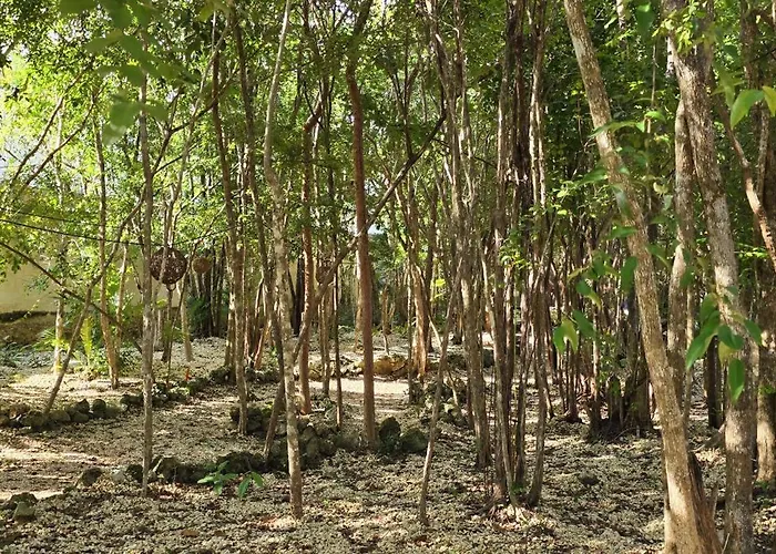 Kin Ii Tulum