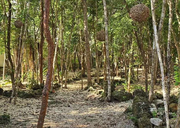Pensión Kin Ii Tulum